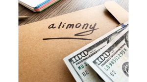 Alimony Lawyer